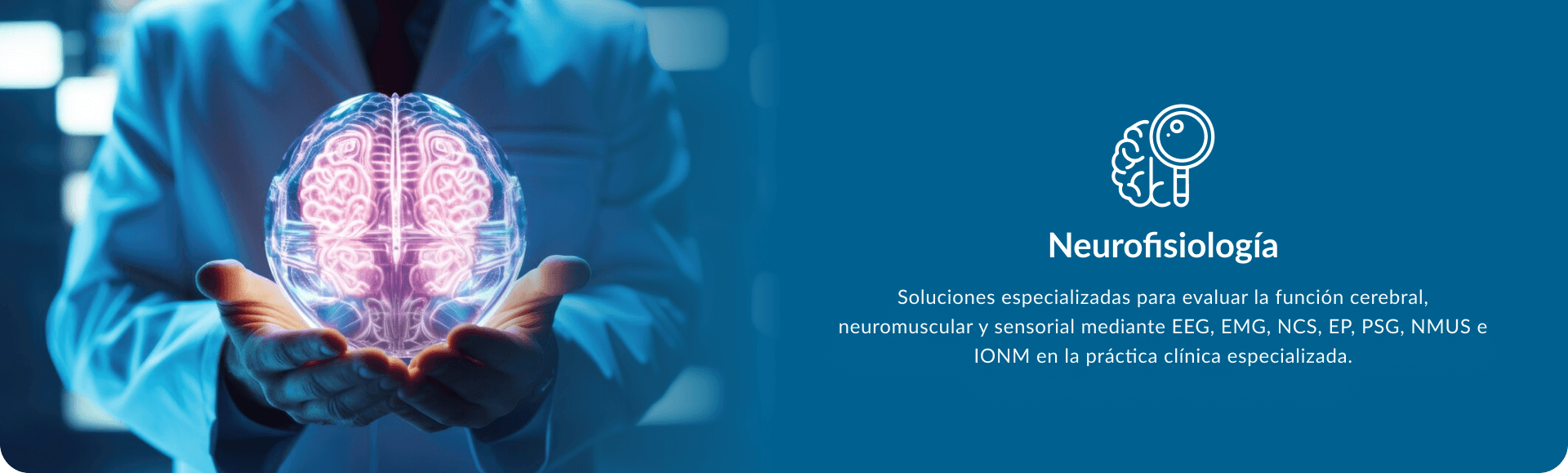 Neurofisiología